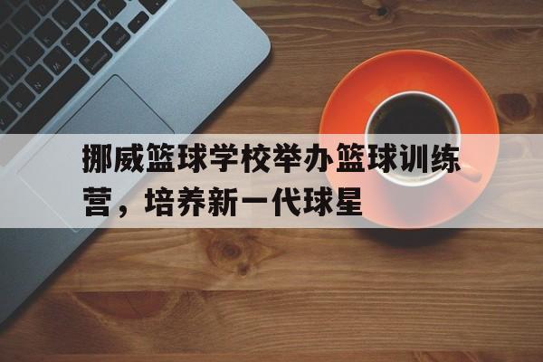挪威篮球学校举办篮球训练营，培养新一代球星的简单介绍