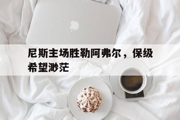 包含尼斯主场胜勒阿弗尔，保级希望渺茫的词条